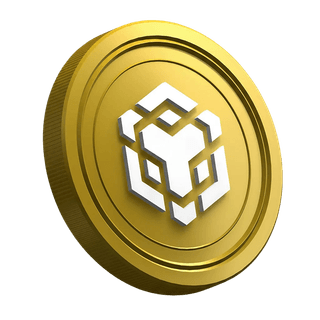 BNB-cryptomunt op de introductiepagina voor beginnende traders